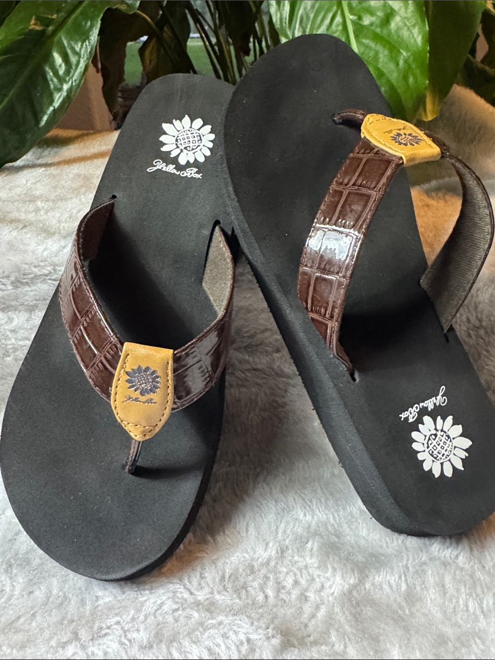 Yellow Box Black Footbed Flip Flops with Brown Croc-Strap Women's Size 8.5 - Picture 5 of 9
